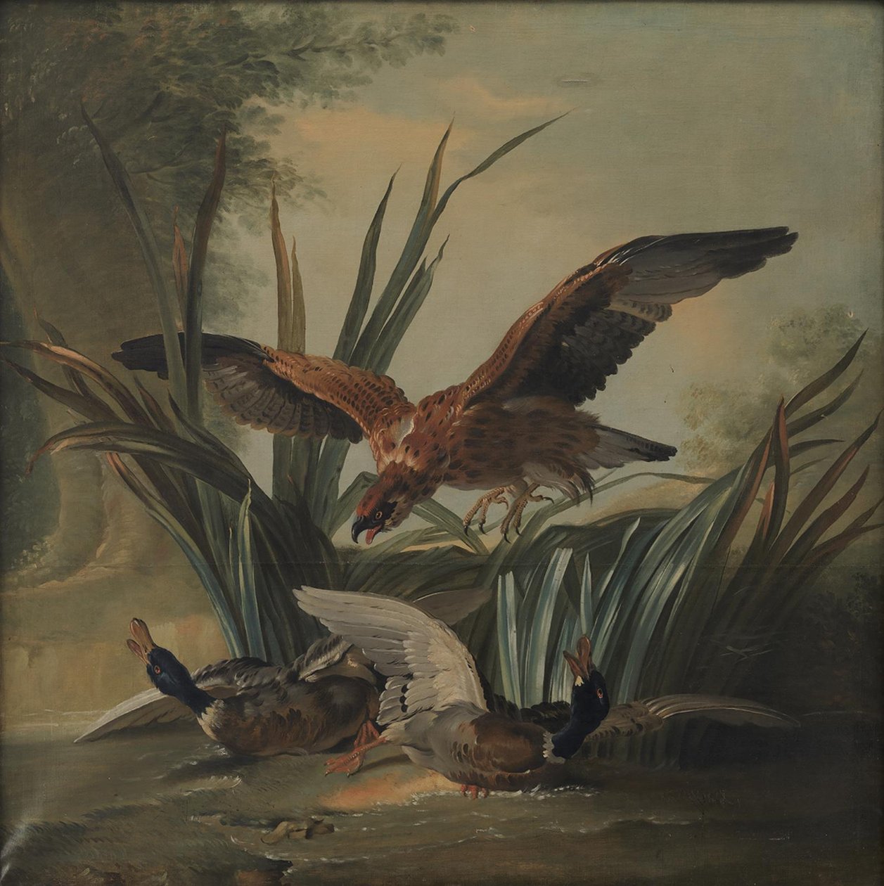 A Hawk Pouncing on a Pair of Ducks by Jean-Baptiste Oudry
