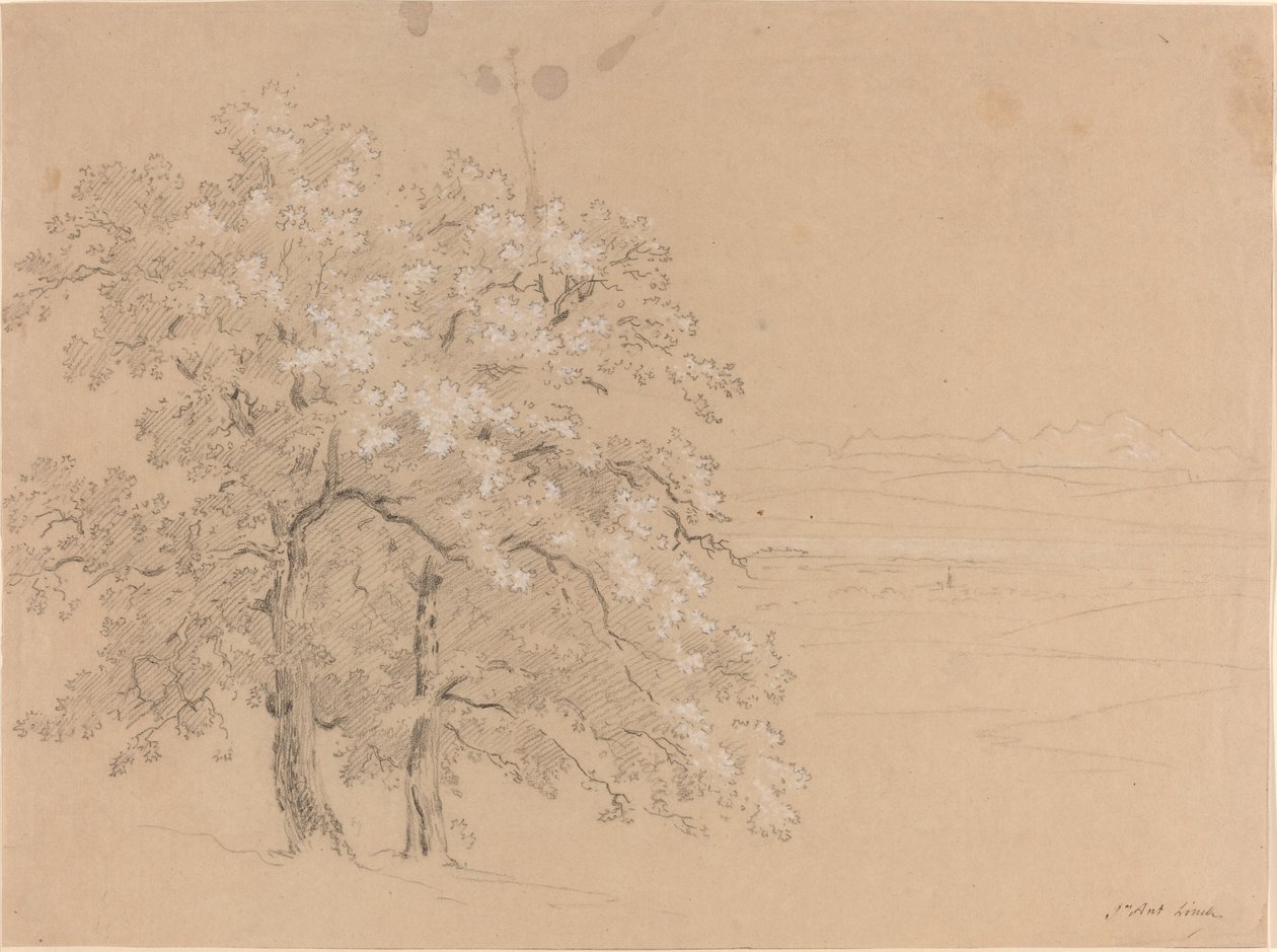 Sunlit Trees Before a Panoramic Landscape by Jean Antoine Linck