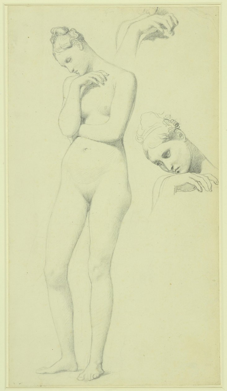 Studies for the figure of Stratonice, c.1834-40 by Jean Auguste Dominique Ingres