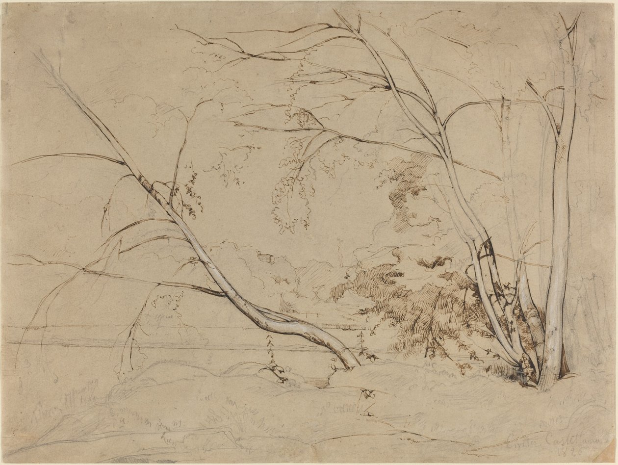 Clump of Trees at Civita Castellana by Jean Baptiste Camille Corot