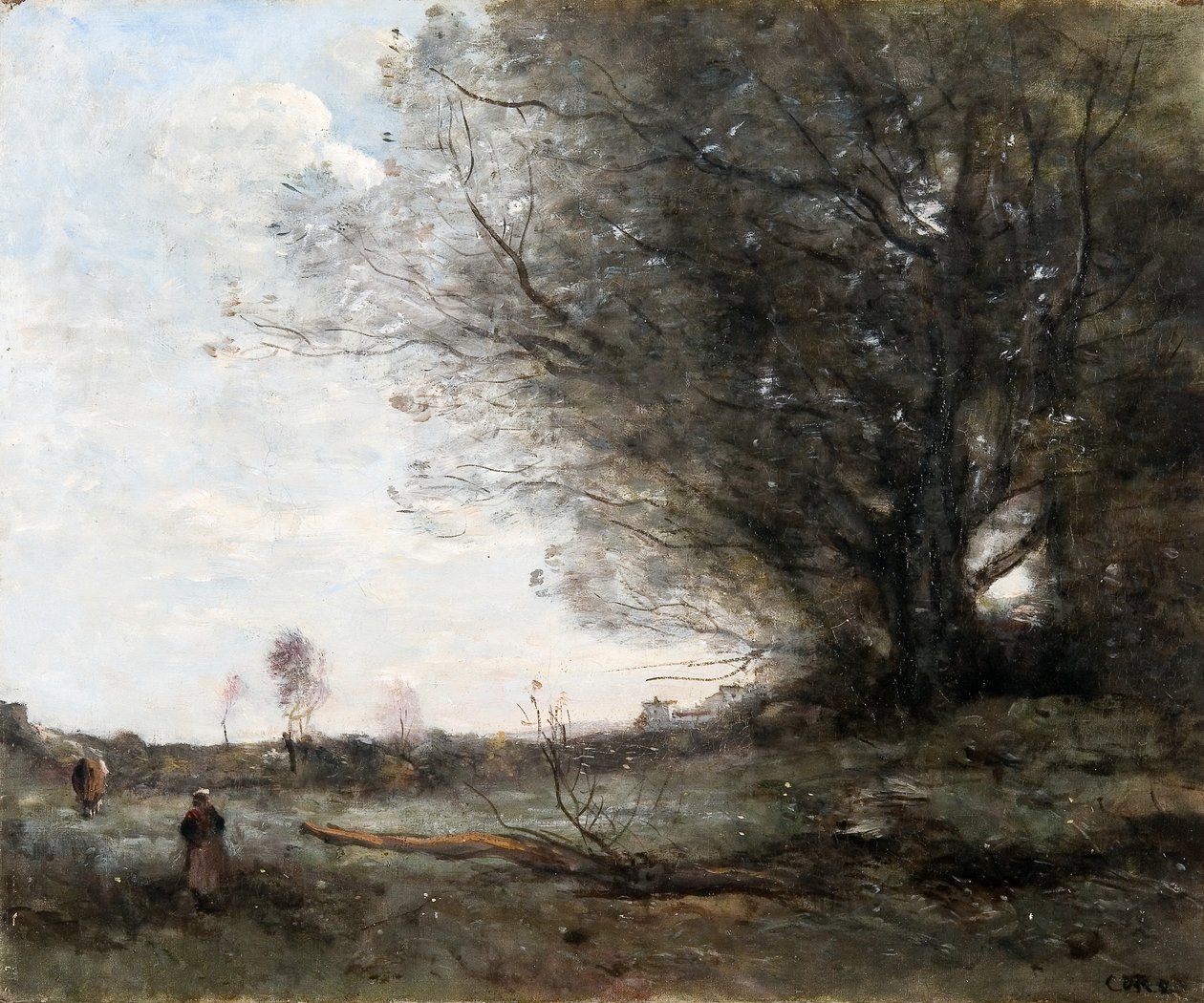 The Beech Tree, c.1865 by Jean Baptiste Camille Corot