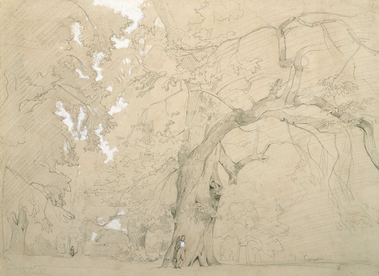 Young Man in Front of a Great Oak by Jean Baptiste Camille Corot