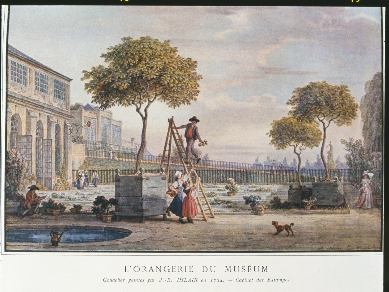 The Orangerie at the Museum in Paris in 1794 by Jean Baptiste Hilair