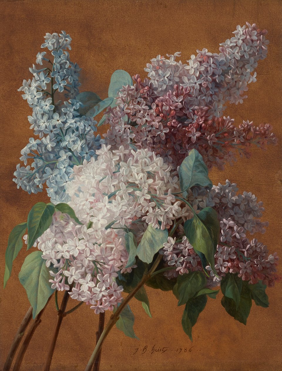 A Study of Lilacs by Jean Baptiste Huet