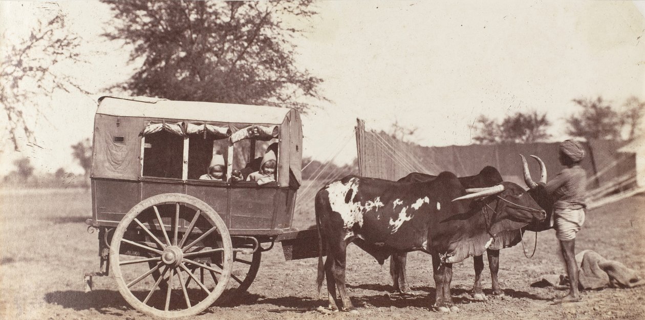 Campbell Twins in a Shigram, Governor General