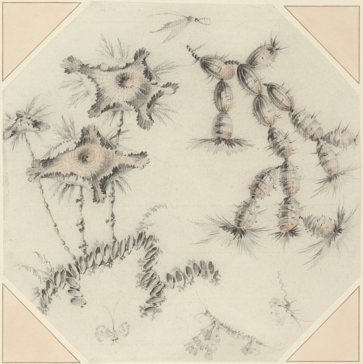 Bamboo Flowers and Cactus by Jean Baptiste Pillement