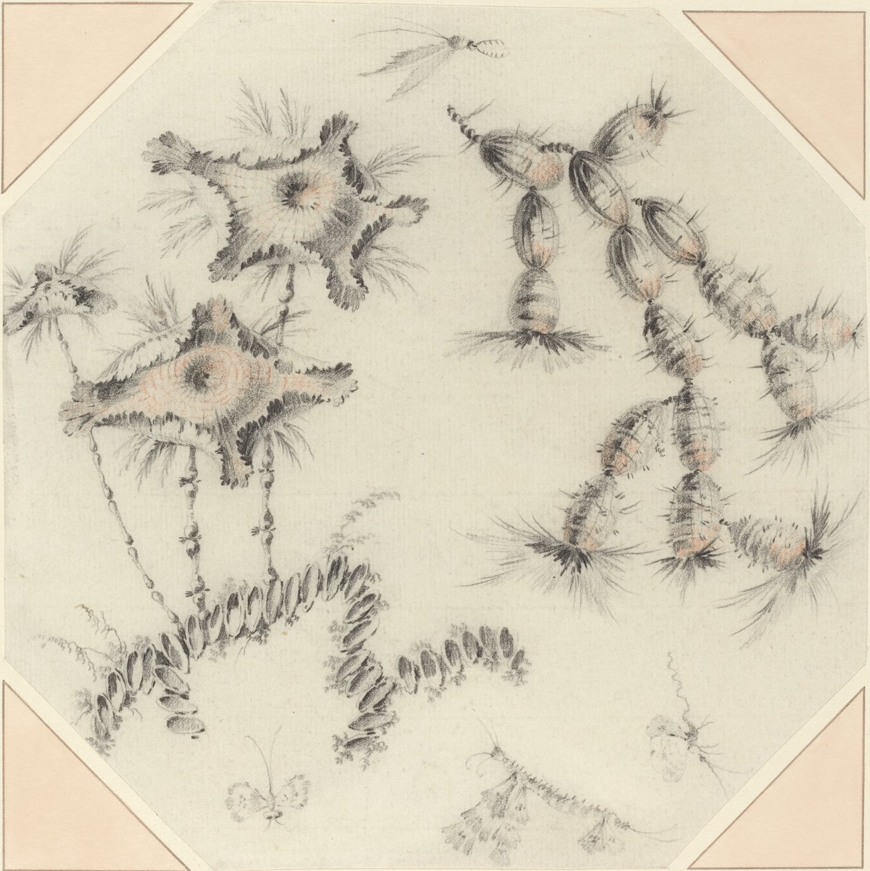 Bamboo Flowers and Cactus by Jean Baptiste Pillement