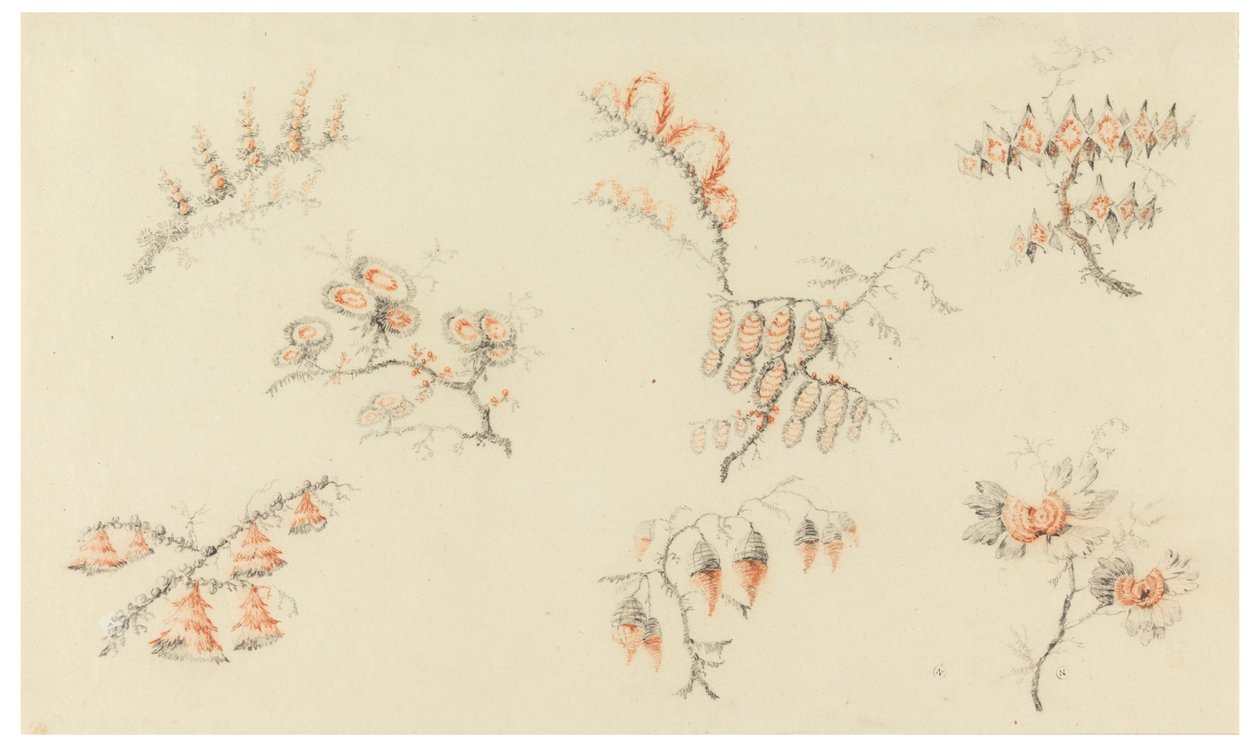 Sprays of Seven Ideal Flowers and of One Quasi Naturalistic Flower by Jean Baptiste Pillement