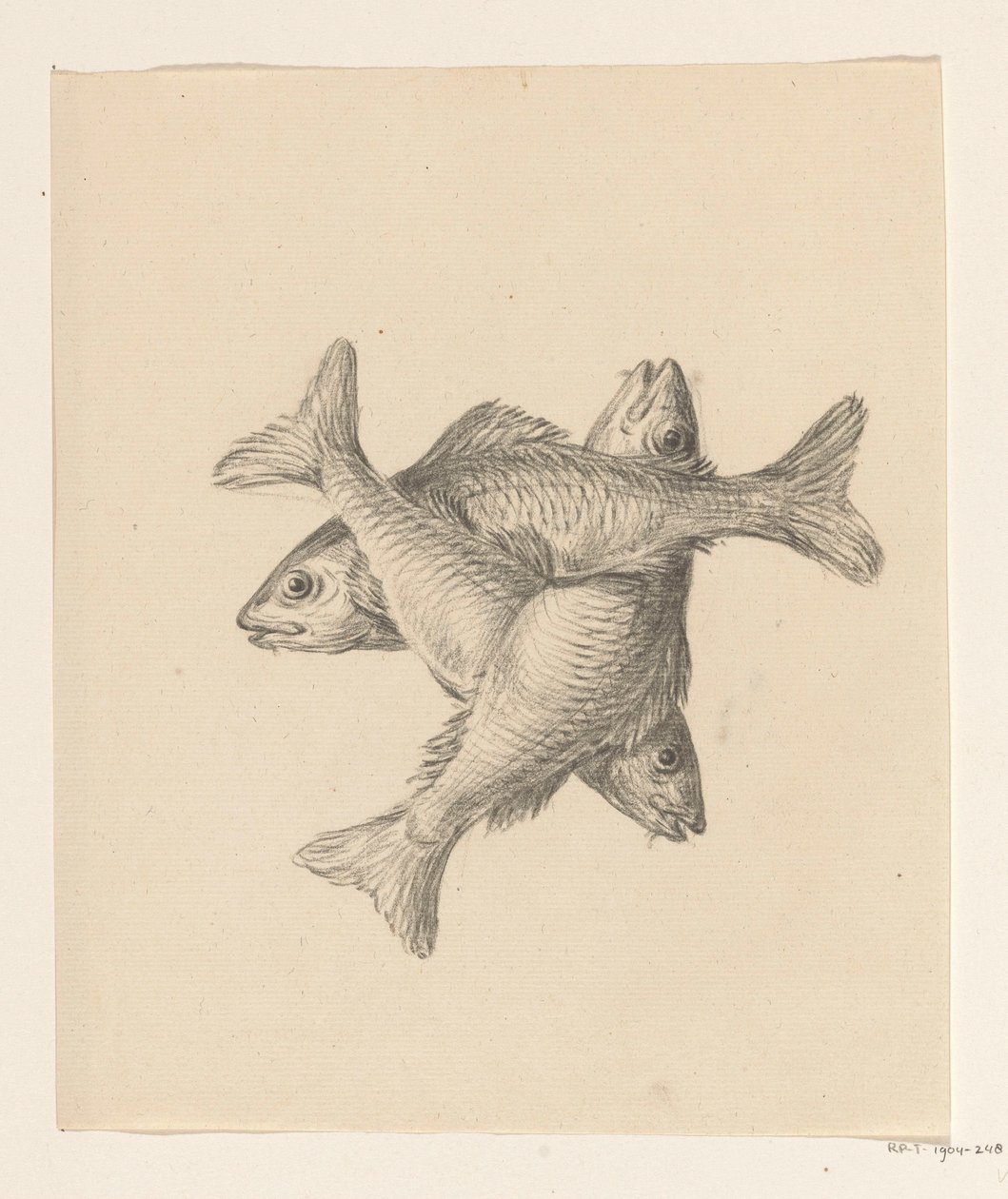 Three Crosswise Arranged Fish by Jean Bernard