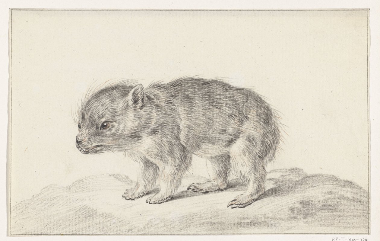 Young Bear (?) by Jean Bernard