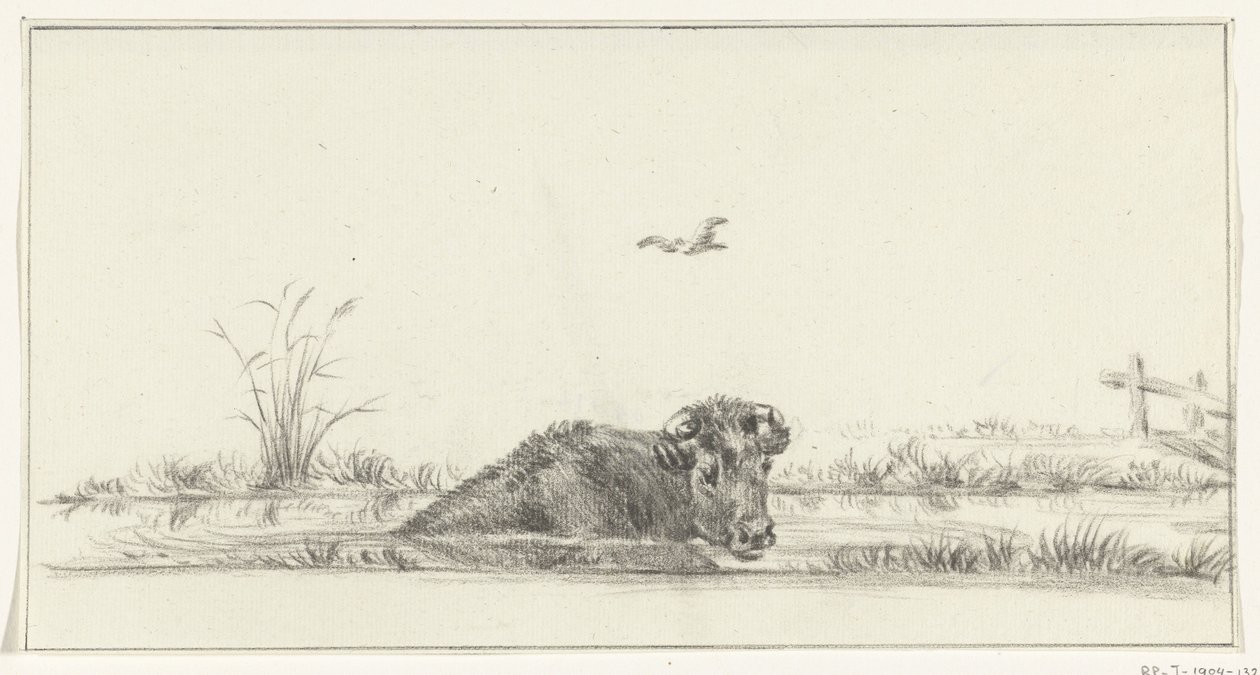 Cow in the Water by Jean Bernard