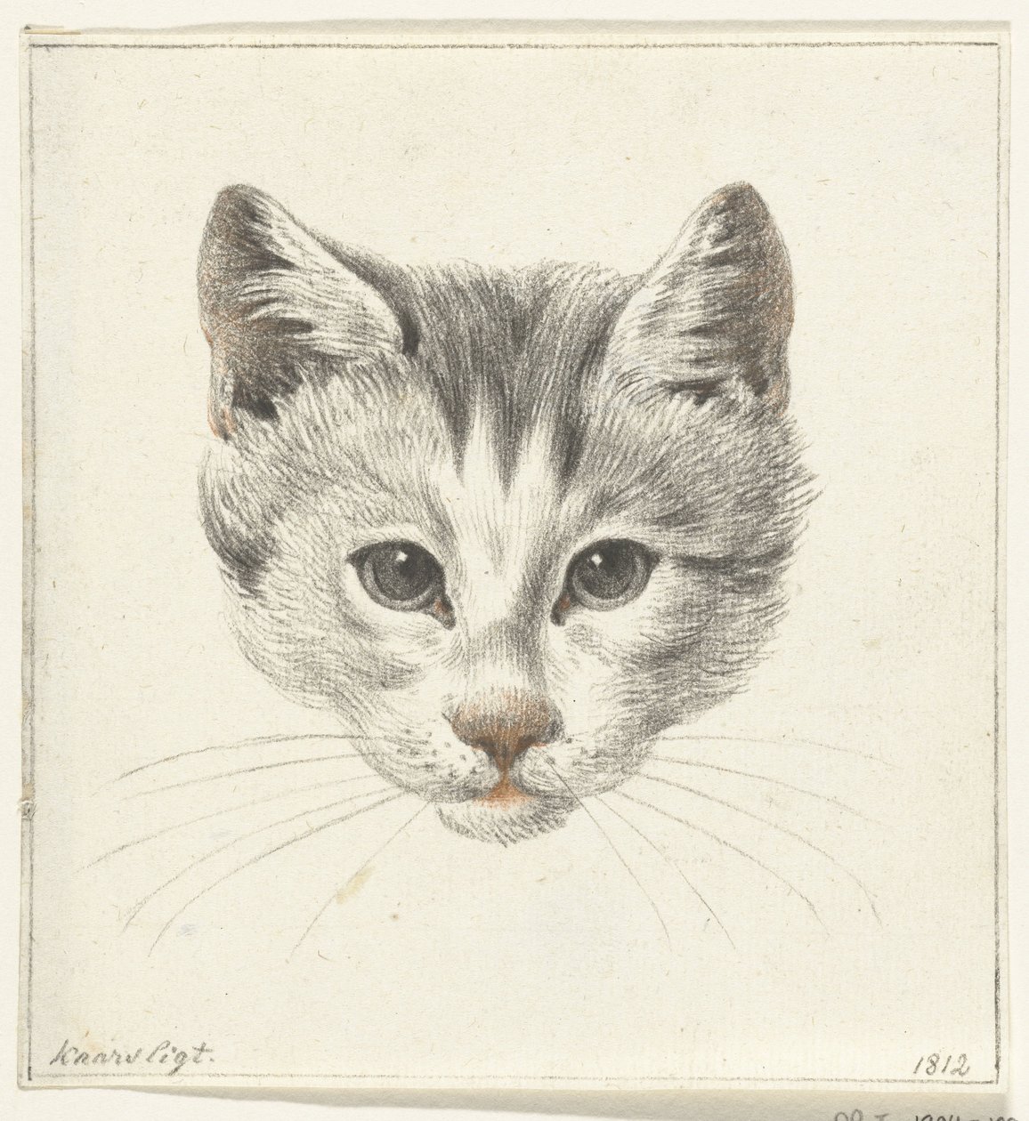 Head of a Cat, Seen from the Front by Candlelight by Jean Bernard