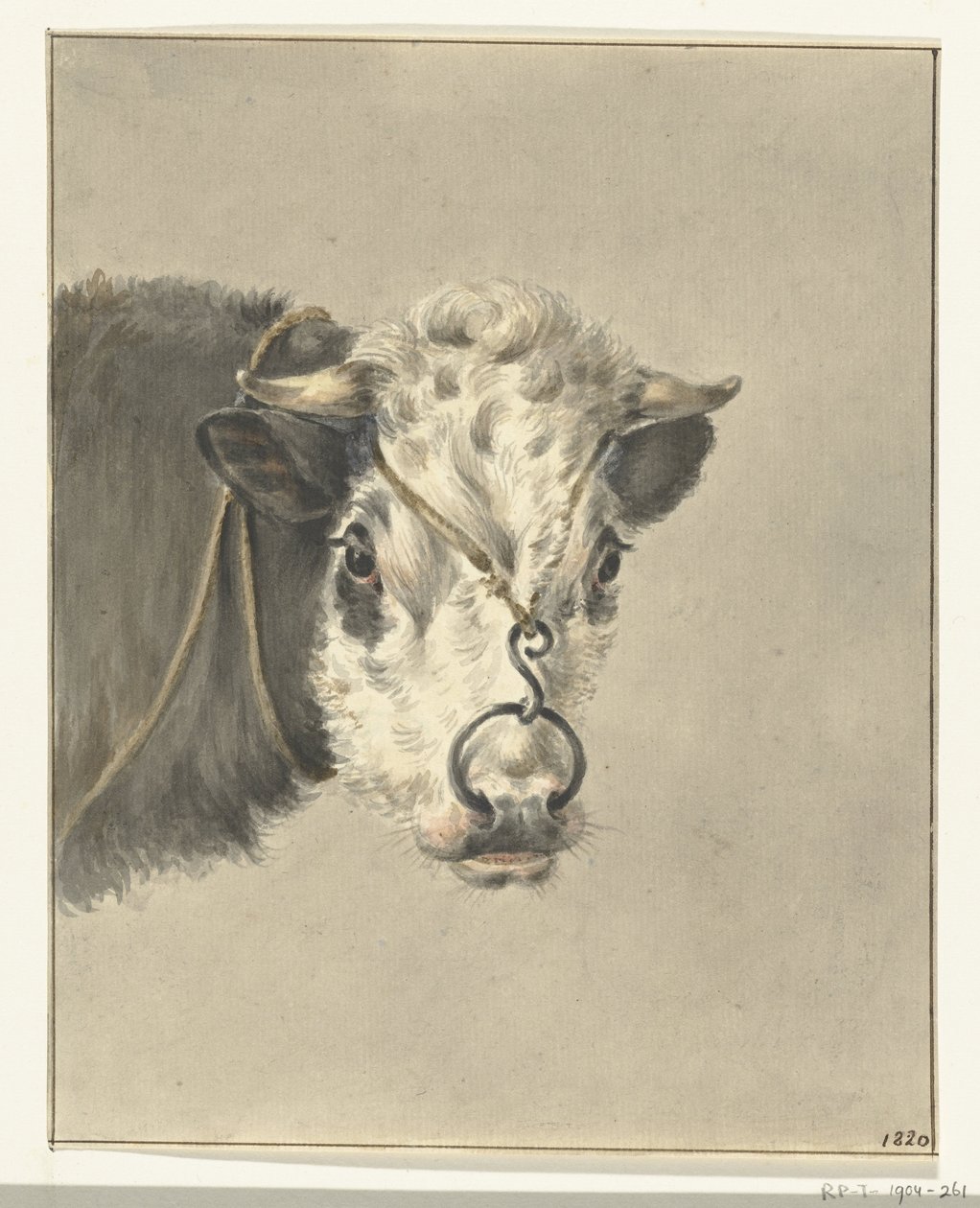 Head of a Cow, with a Ring through the Nose, from the Front by Jean Bernard