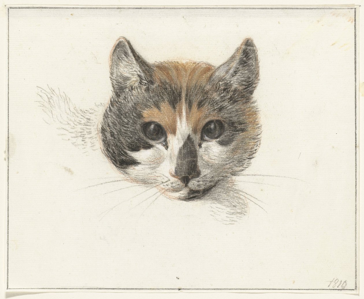 Head of a calico cat, front view, with open eyes by Jean Bernard