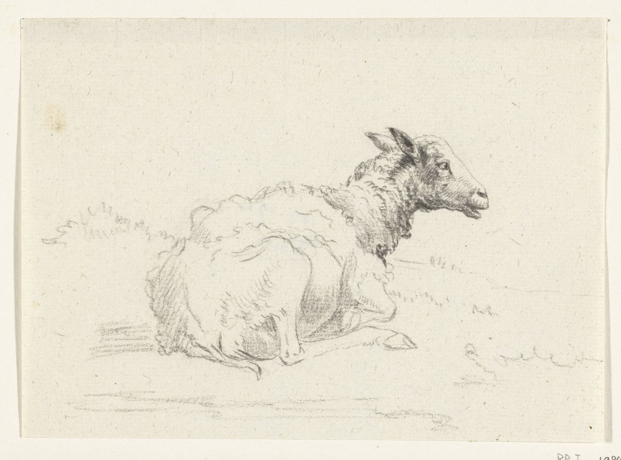 Lying Sheep, to the right by Jean Bernard