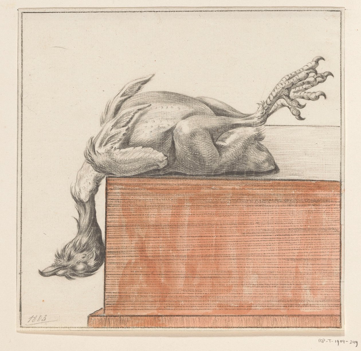 Lying Dead Bird, Hanging with Head Down by Jean Bernard