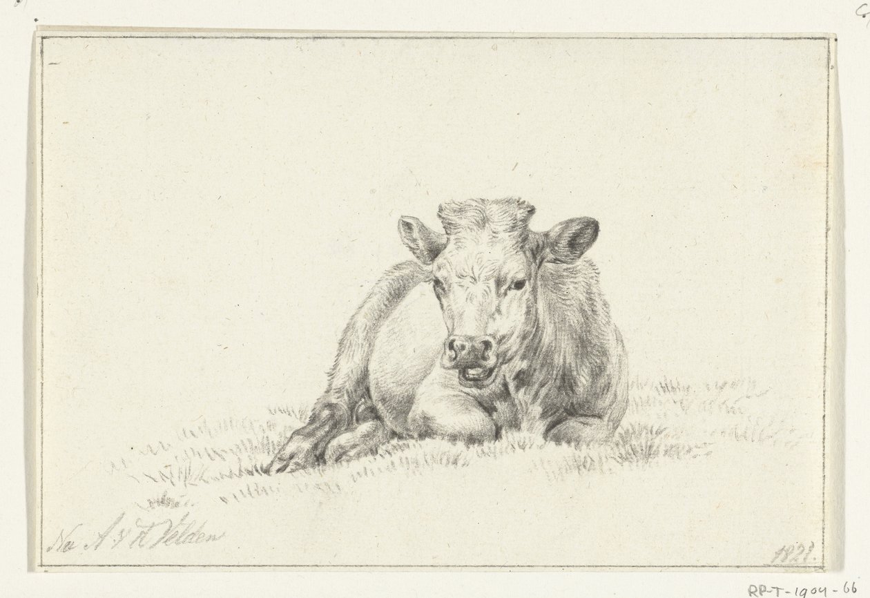 Lying Cow, Front View by Jean Bernard