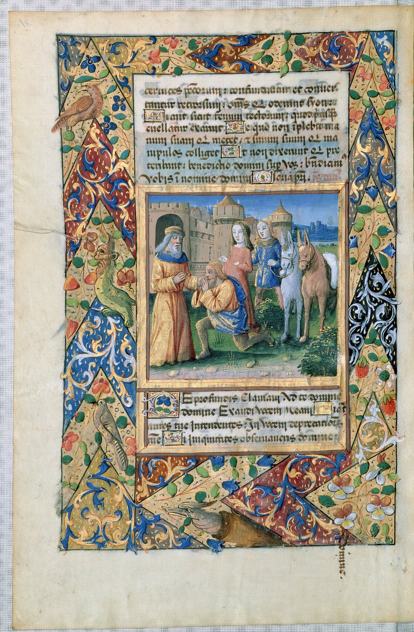 Scene from the 
