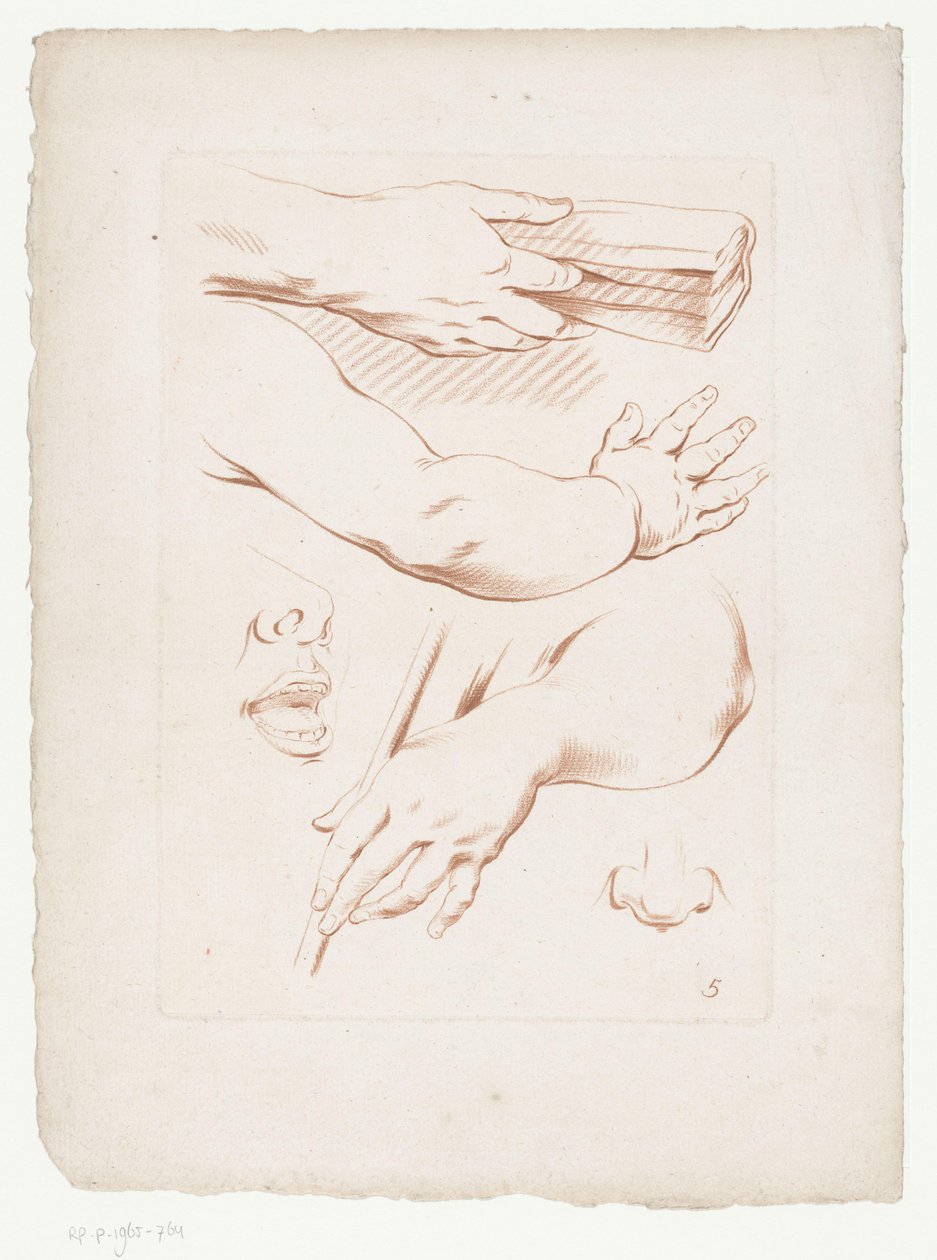 Composition with Arms, Nose, and Part of a Face by Jean Francois Janinet