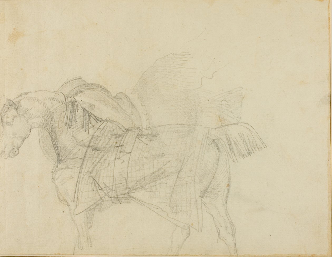 Horse Wearing a Blanket by Jean Louis André Théodore Géricault