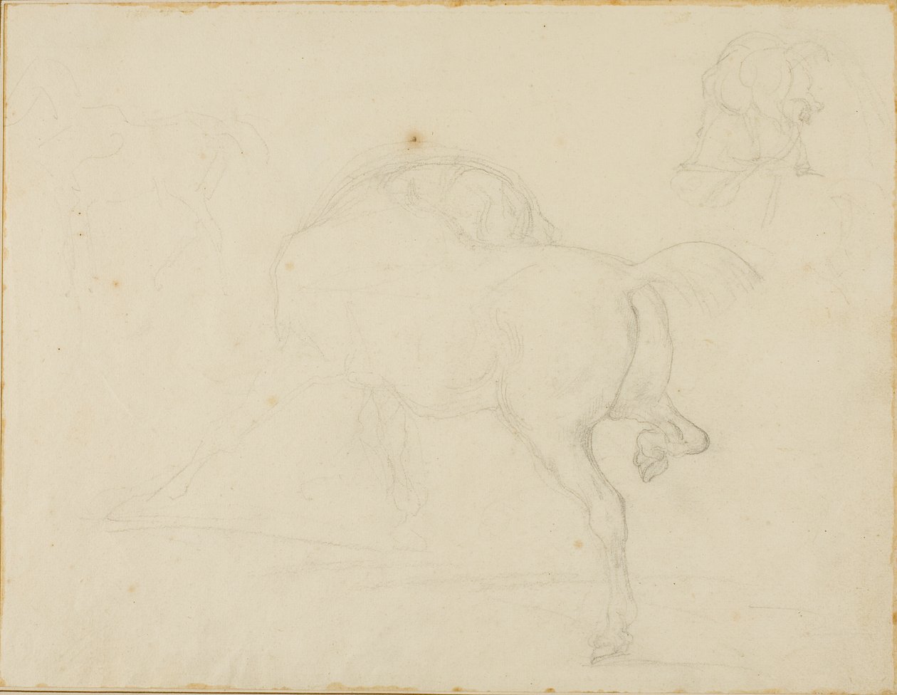 Study of a Horse Turning Its Head and Raising Its Hind Leg by Jean Louis André Théodore Géricault
