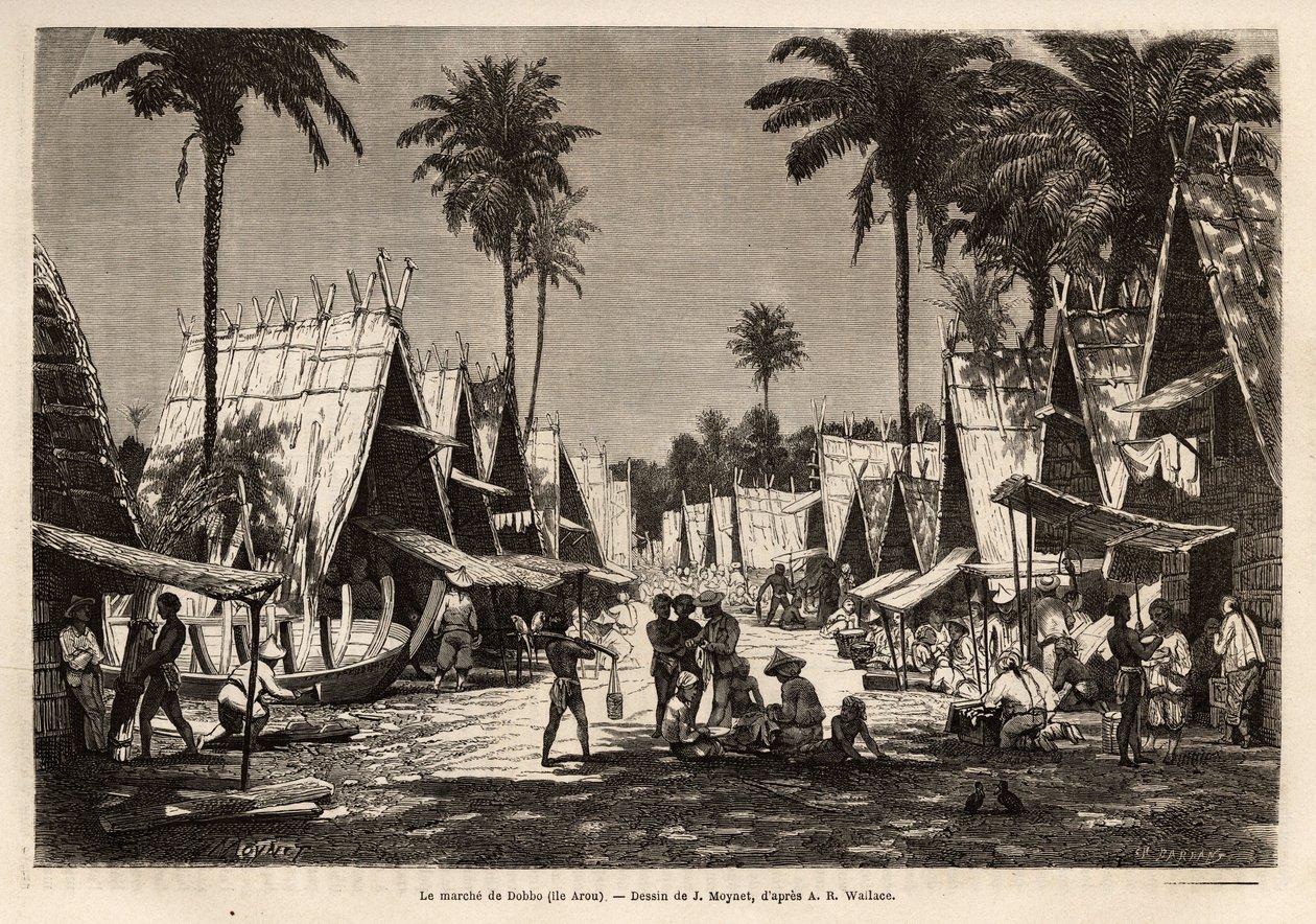 The march of Dobbo, a port centre on the Arou Island. Engraving illustrating a voyage to the Malaysian archipelago by Alfred Russell Wallace by Jean Pierre Moynet