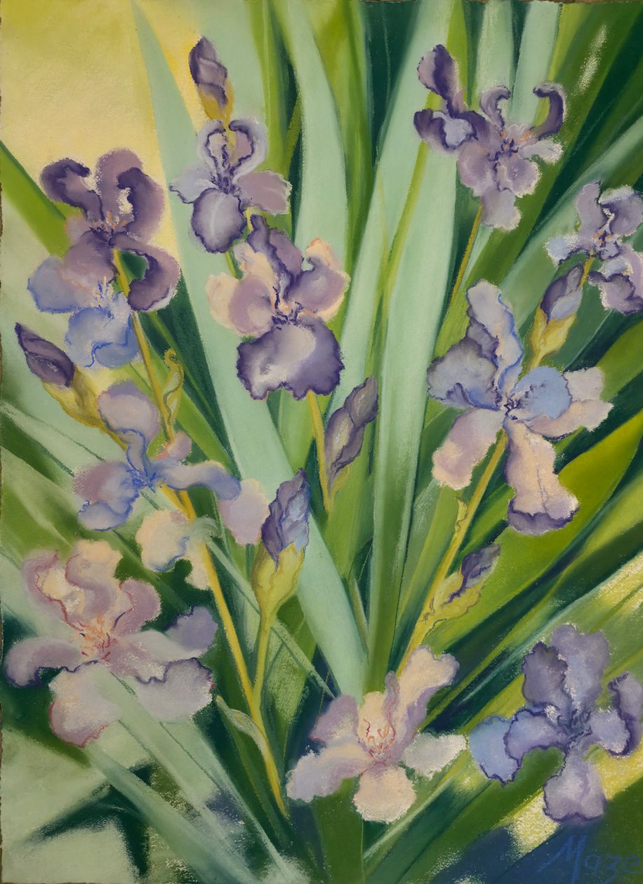 Irises in a Border by Jeanne Maze