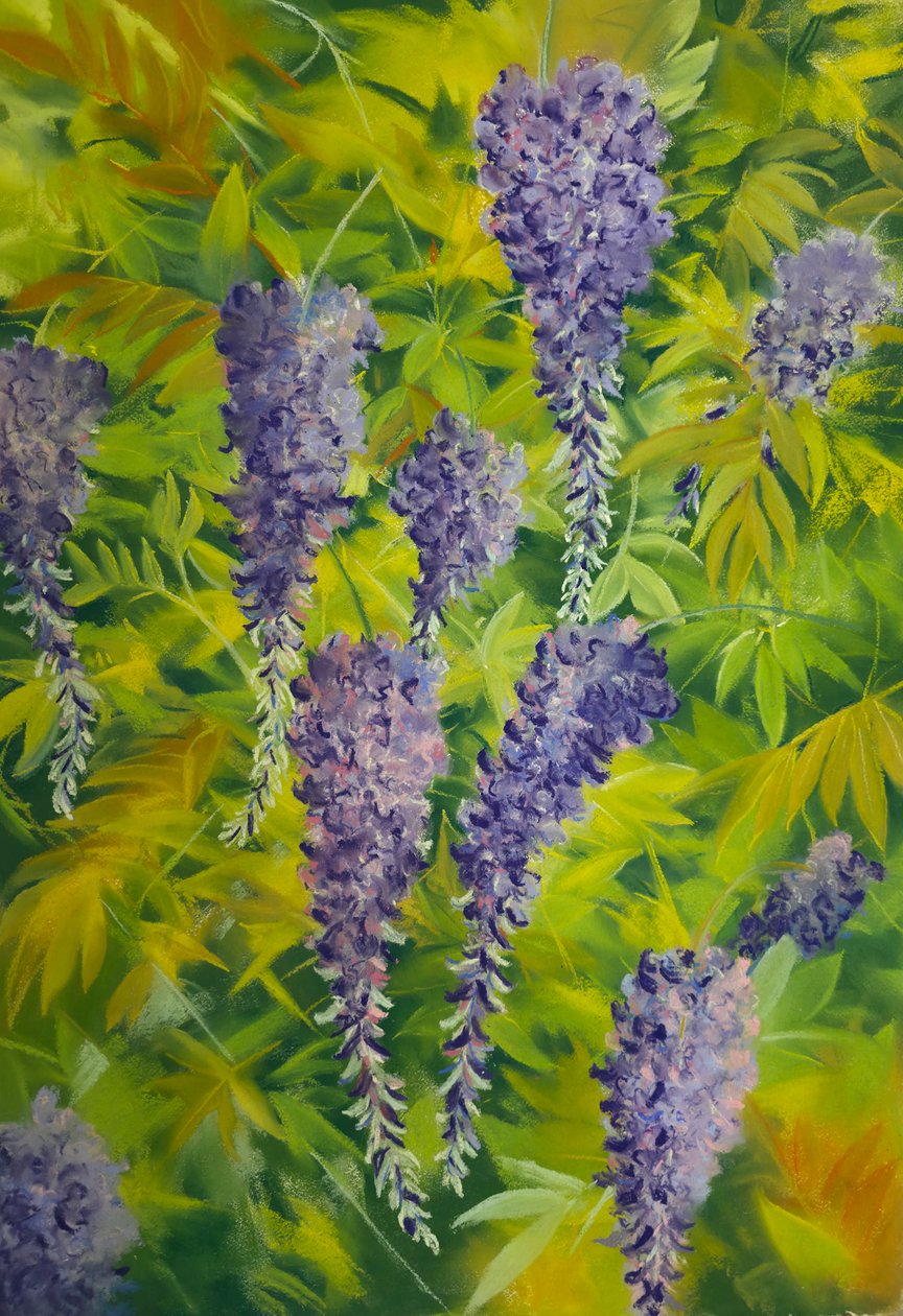 Wisteria Flowers & Foliage 2 by Jeanne Maze