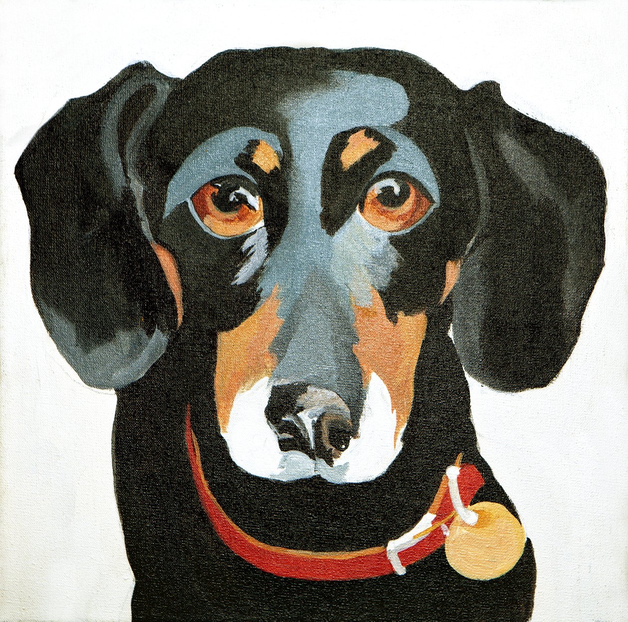 Buster by Jennifer Abbott