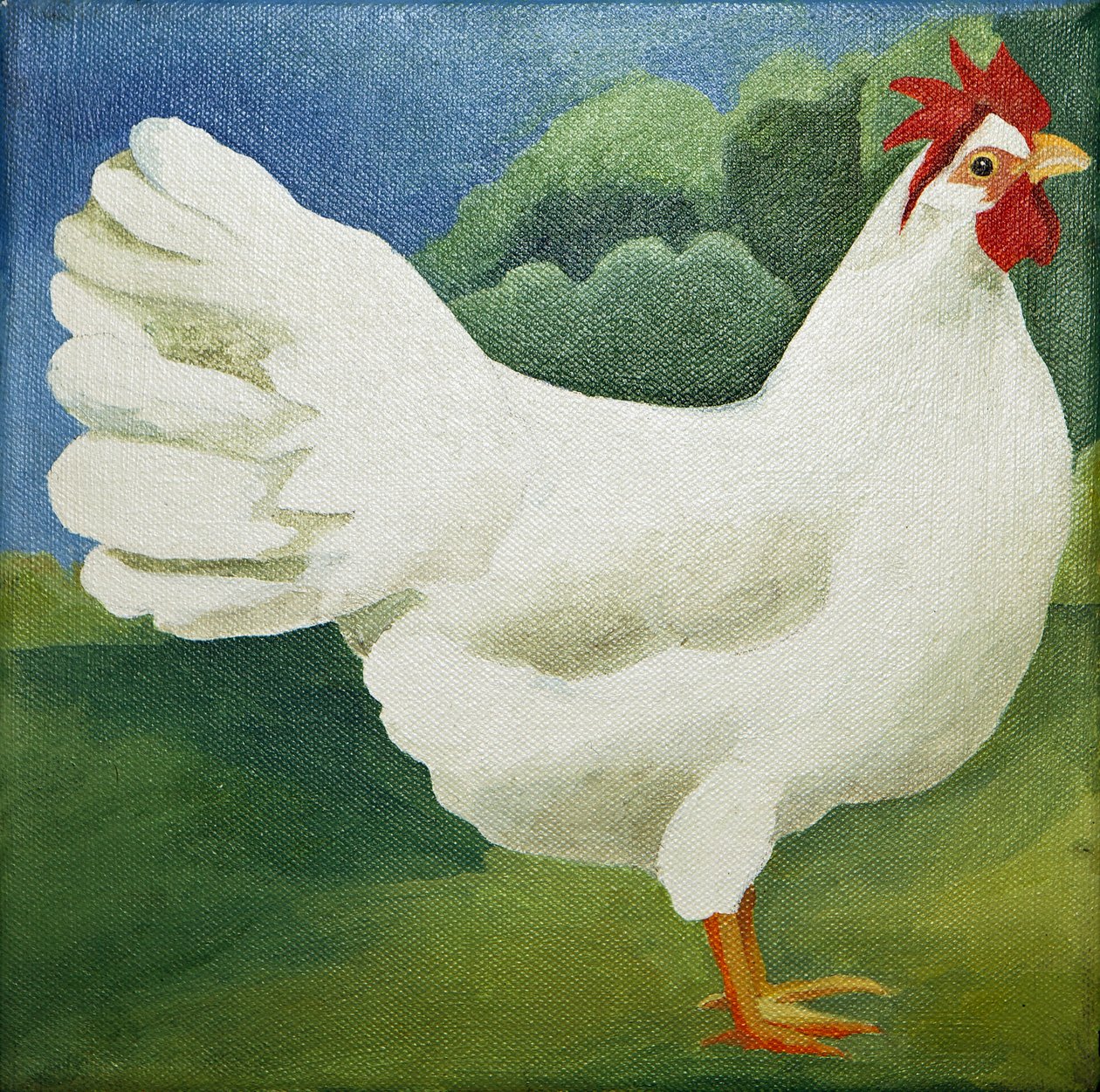 Cockerel by Jennifer Abbott