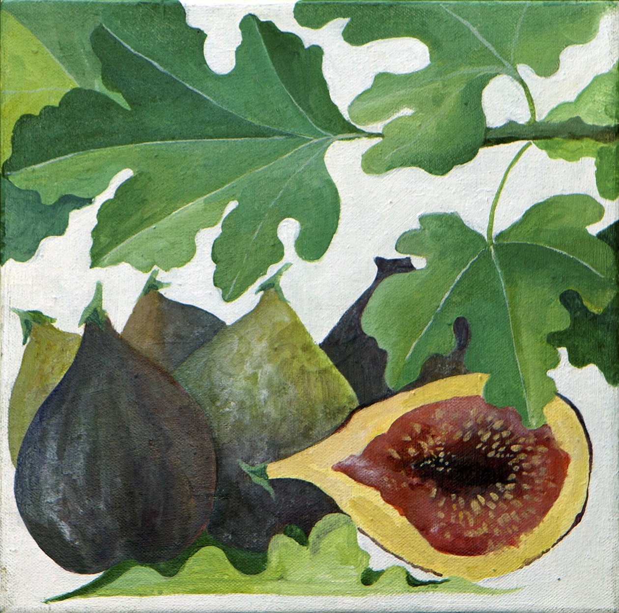 Figs, 2013 by Jennifer Abbott