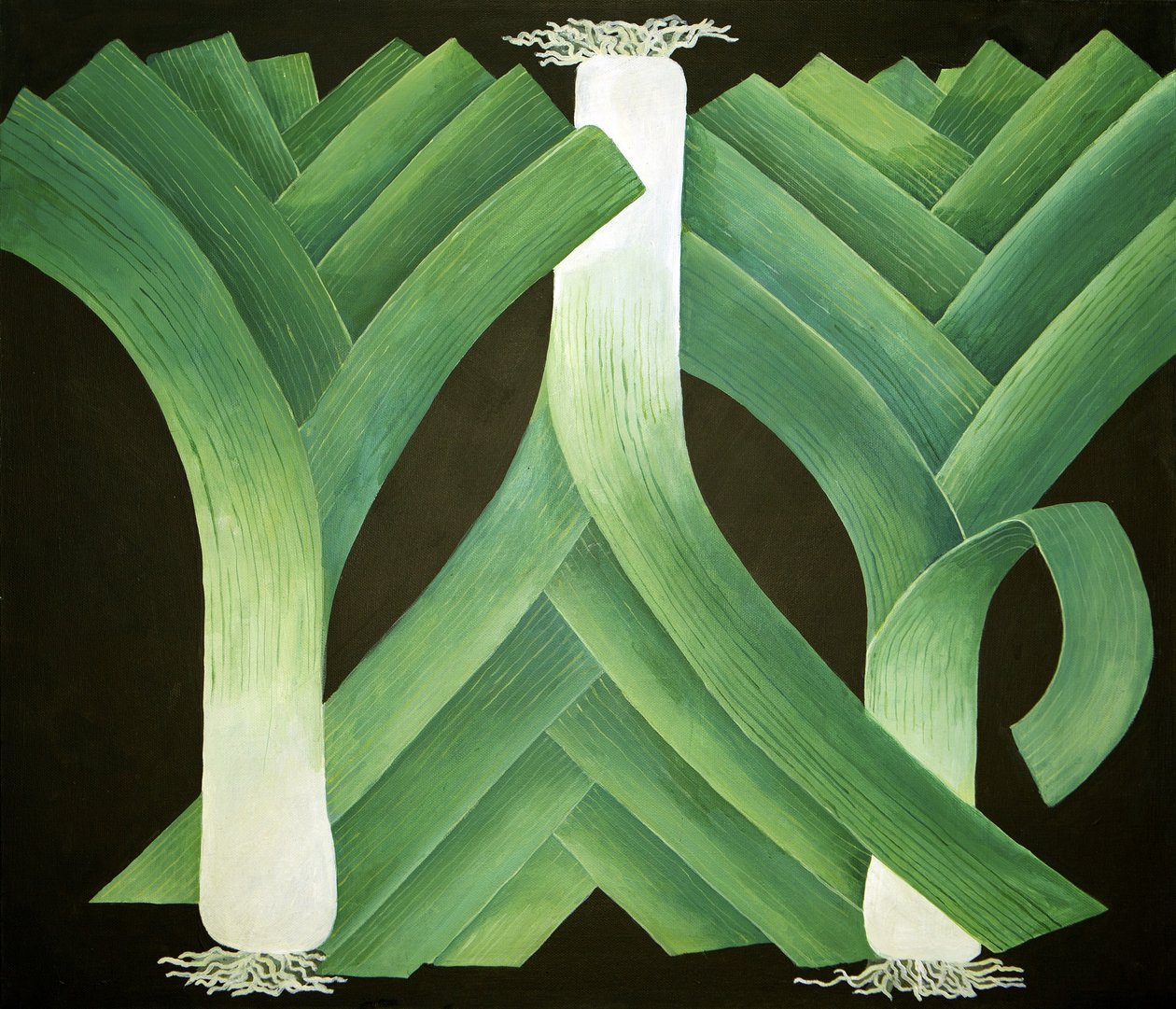 Leeks by Jennifer Abbott