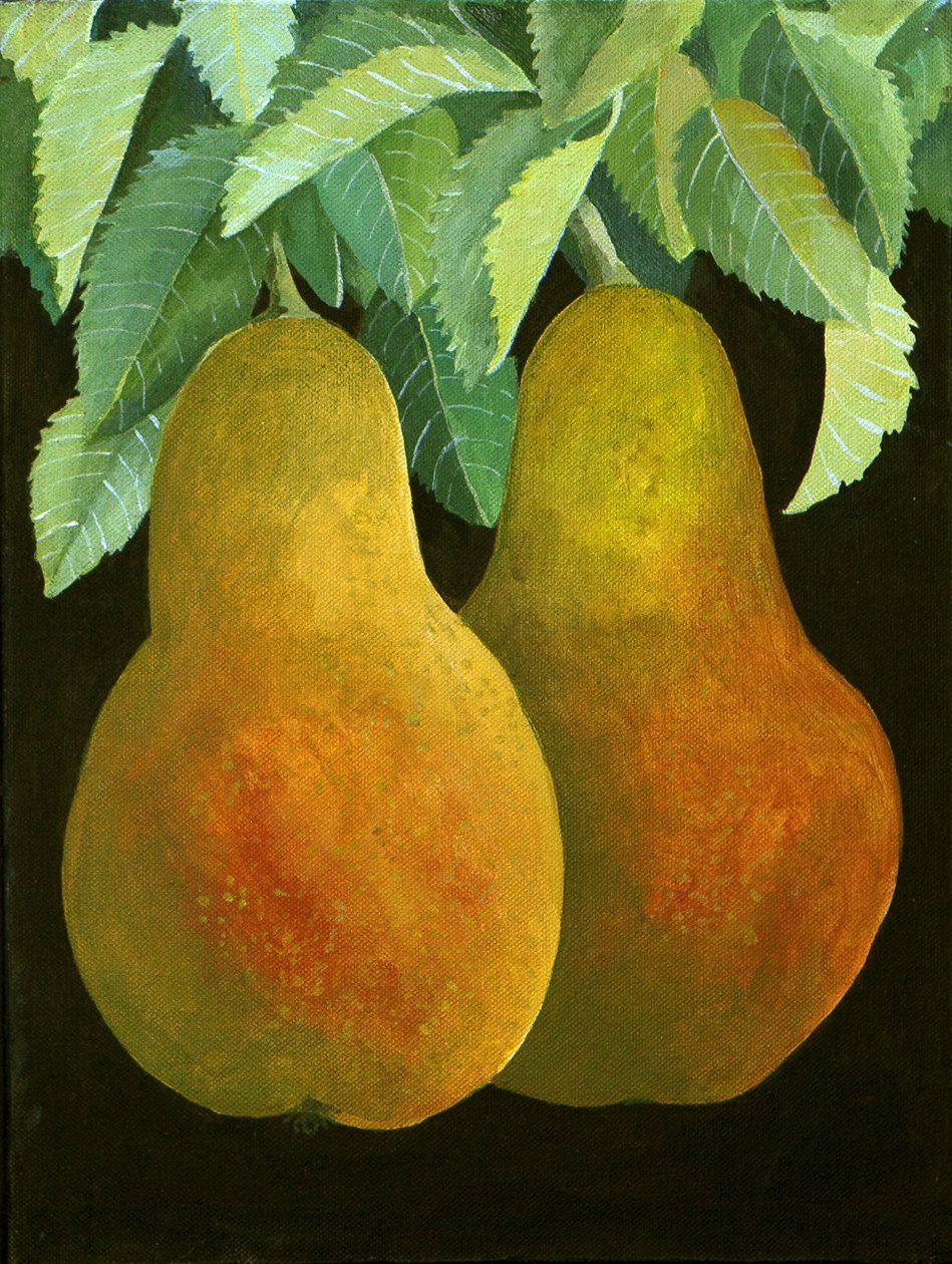 Pears by Jennifer Abbott