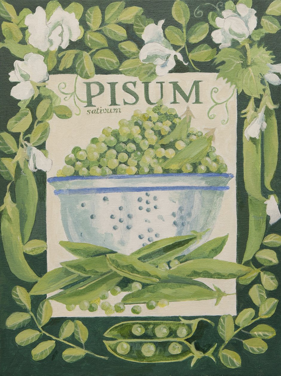 Pisum, Peas by Jennifer Abbott