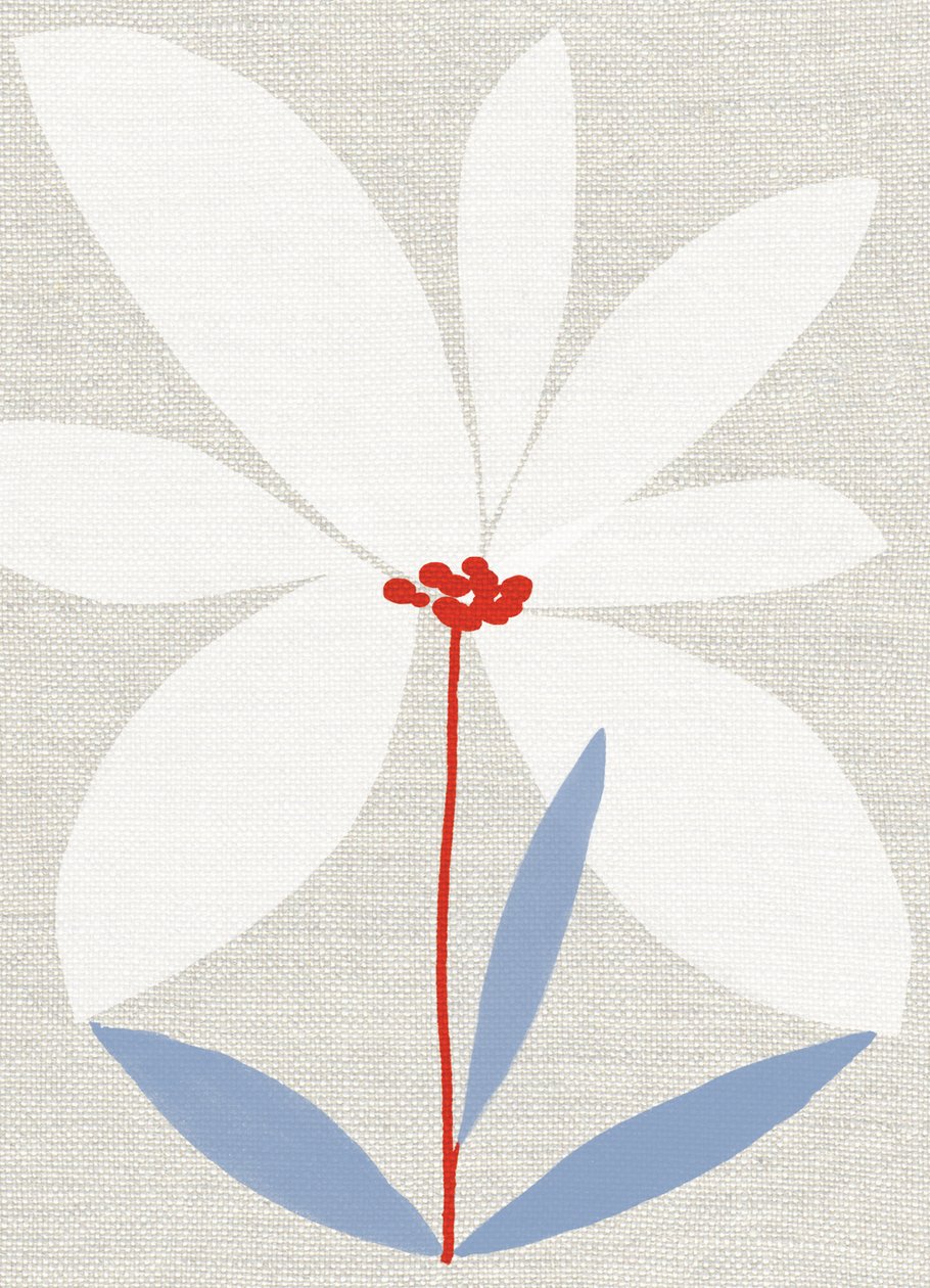 Printed Daisy by Jenny Frean