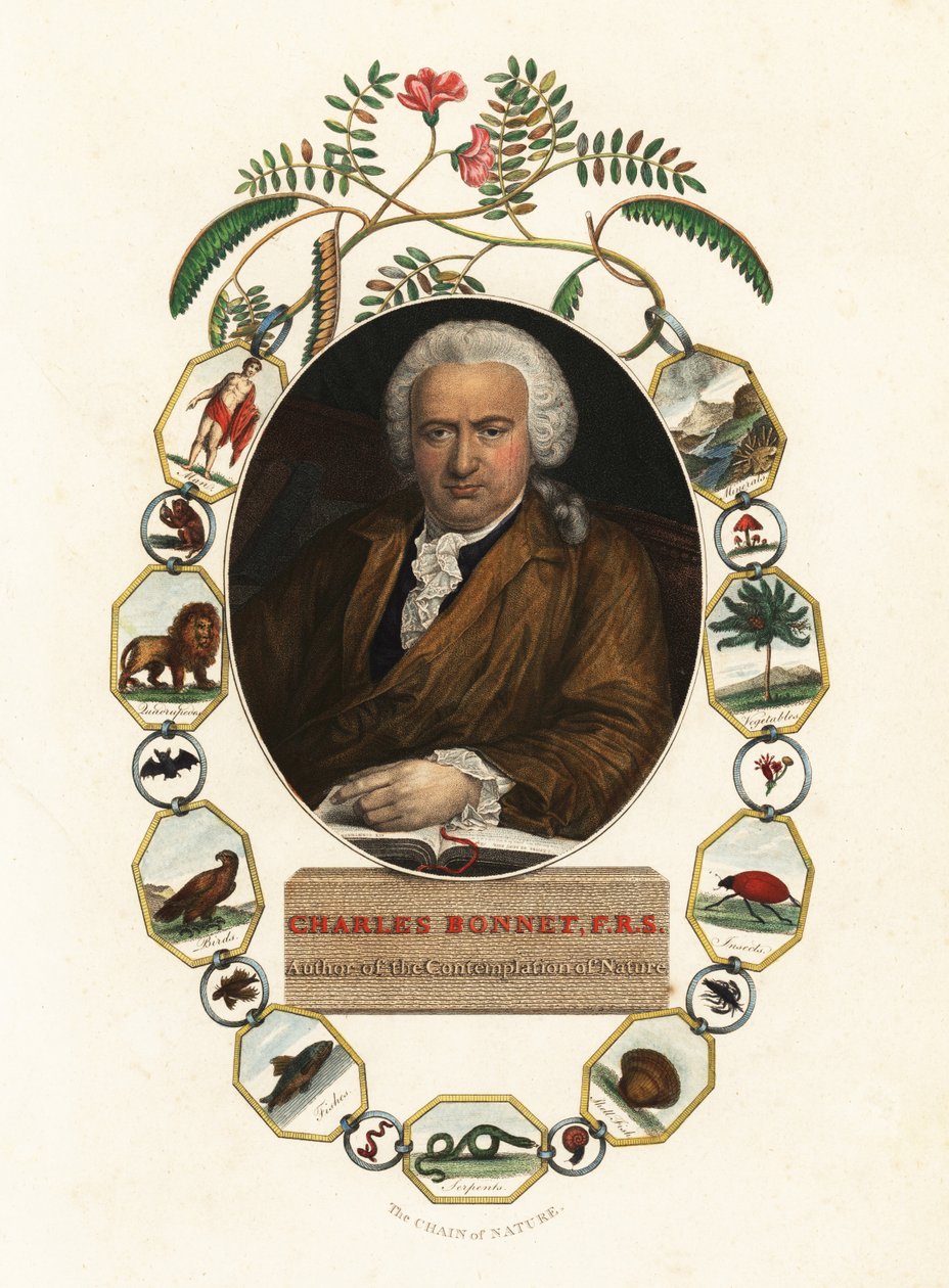 Portrait of Charles Bonnet, Genevan Naturalist (engraving) by Jens Juel