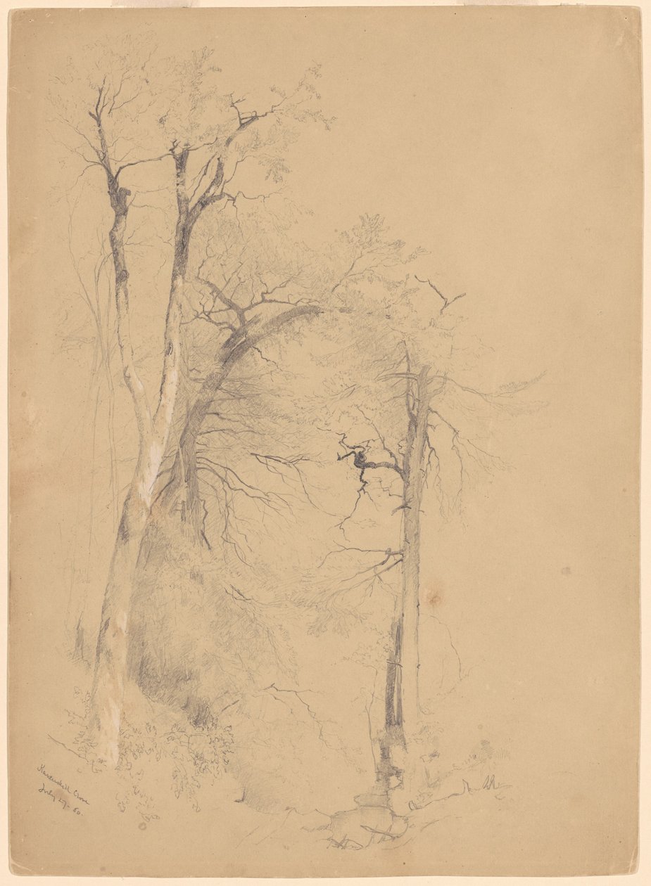 Kauterskill Clove by Jervis McEntee