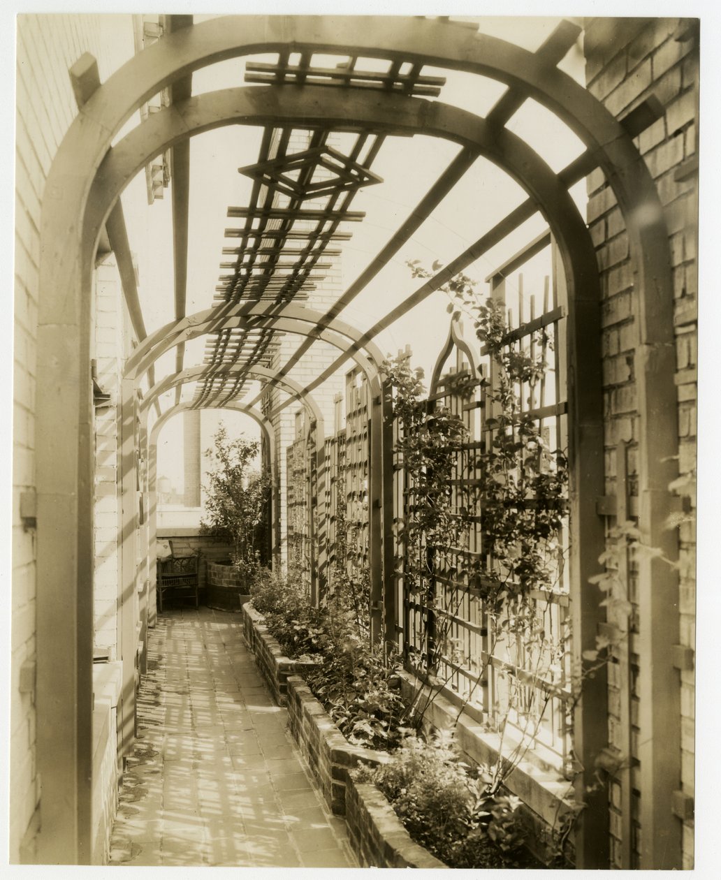 Back garden of Mrs Regina Jais, c.1936-37 by Jessie Tarbox Beals
