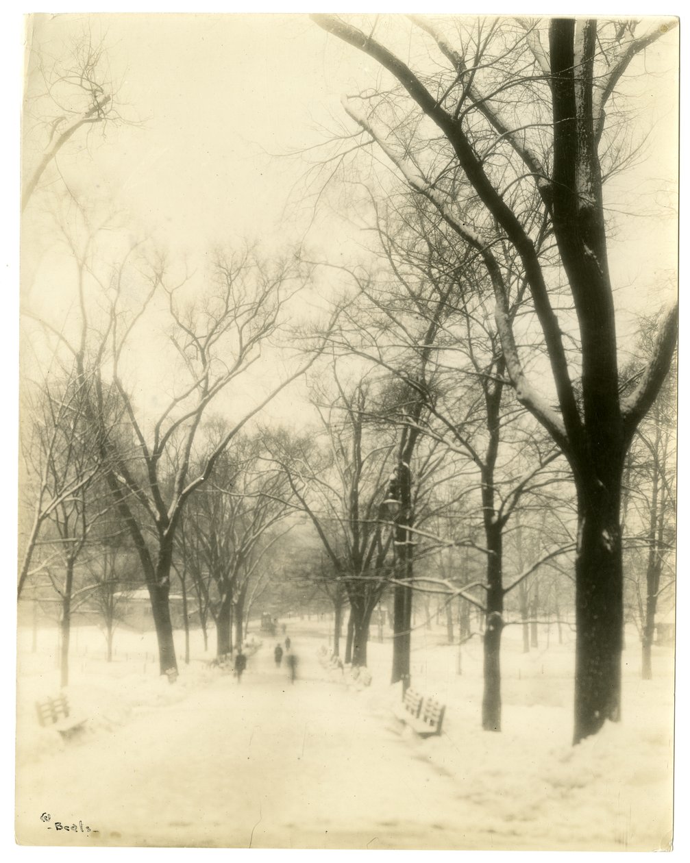The Common, Boston, USA, c.1902-10 by Jessie Tarbox Beals
