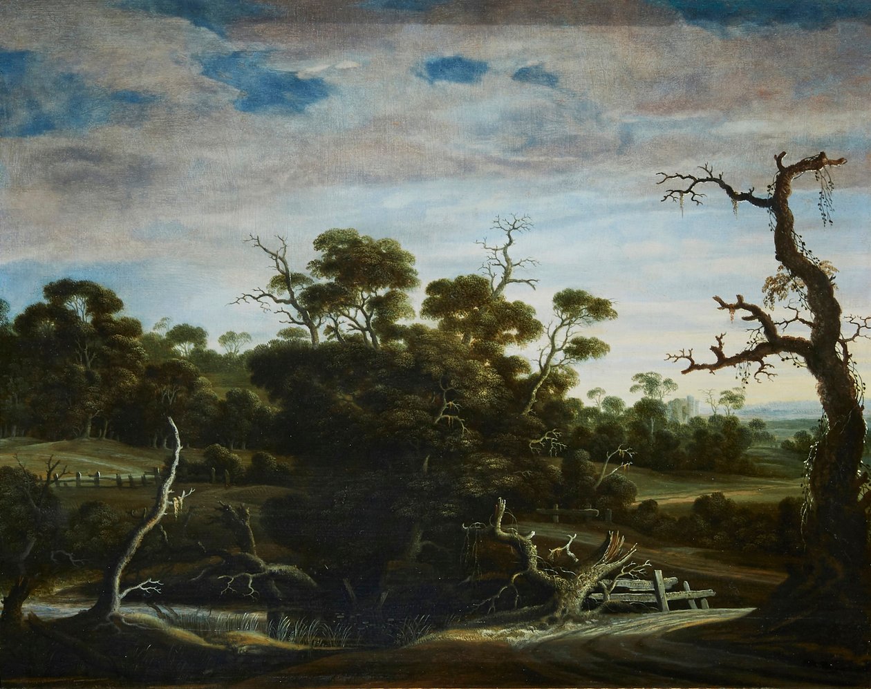 Hilly Landscape with Trees by Joachim Govertsz Camphuysen
