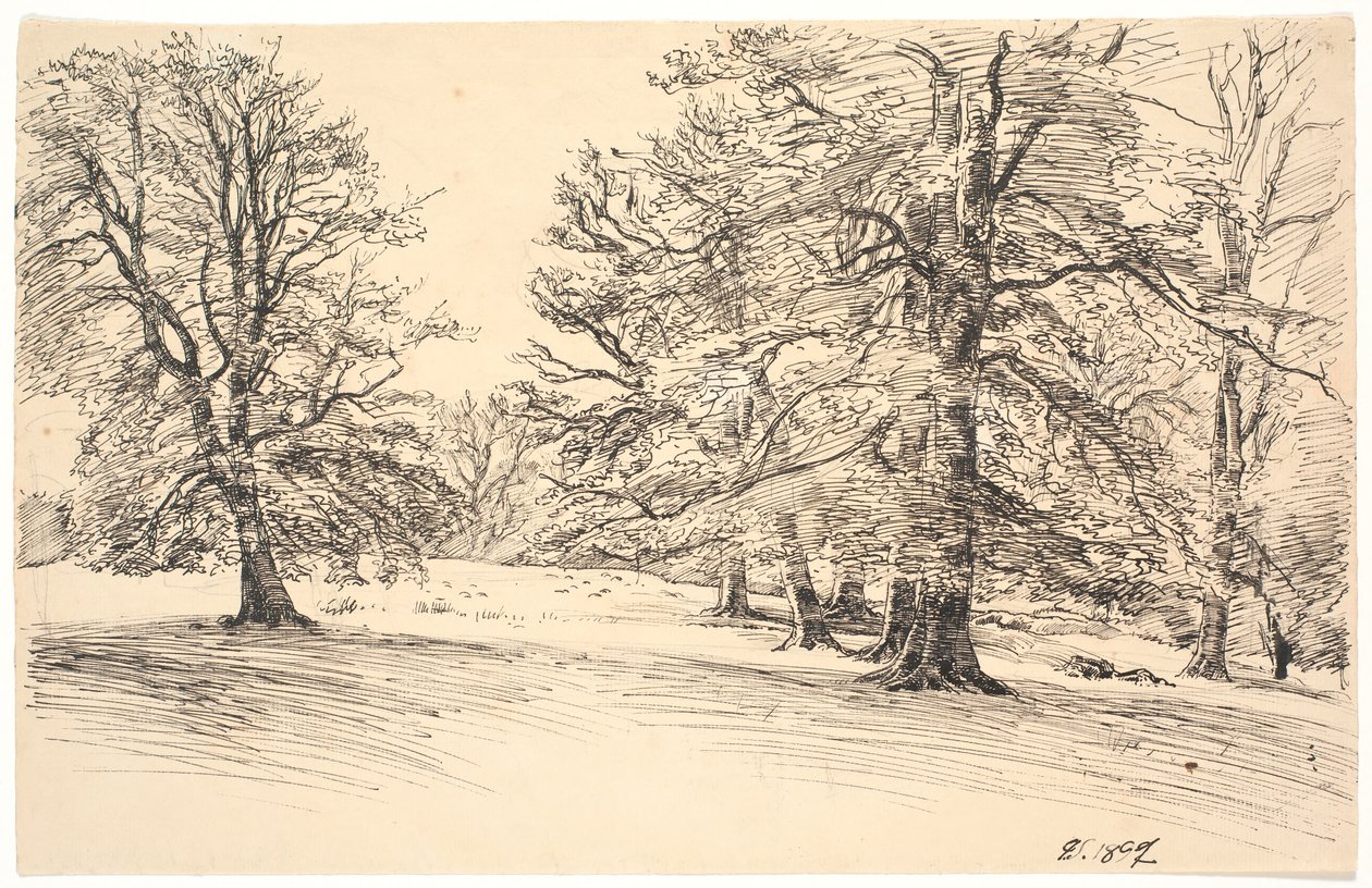 Gently Sloping Terrain with Scattered Large Trees by Joakim Frederik Skovgaard