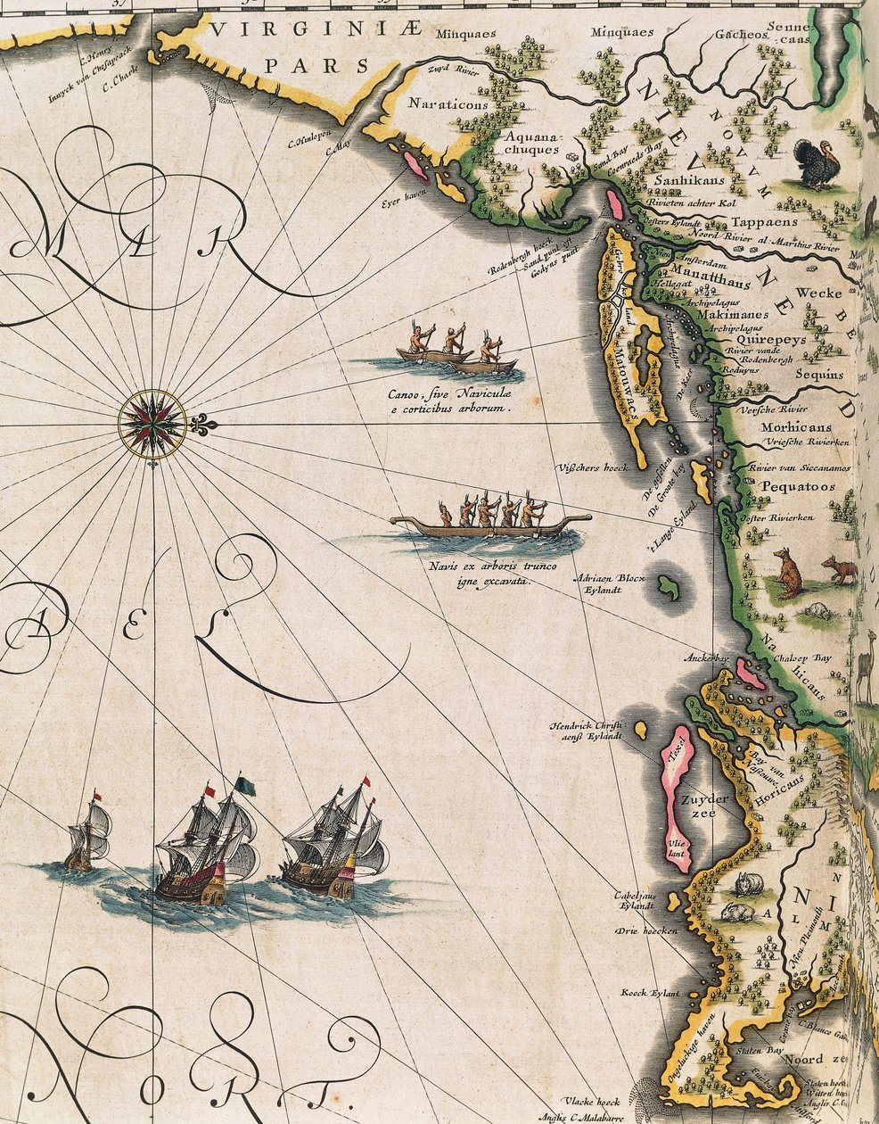Map of Coast of Virginia, from Theatrum Orbis Terrarum by Joan Blaeu