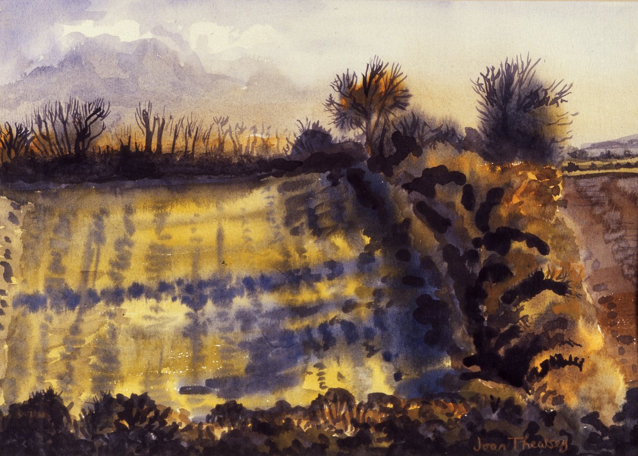 Field with Long Shadows by Joan Thewsey