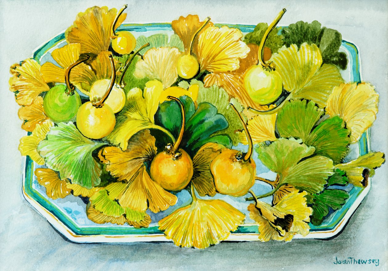 Ginkgo, Fruit and Leaves by Joan Thewsey