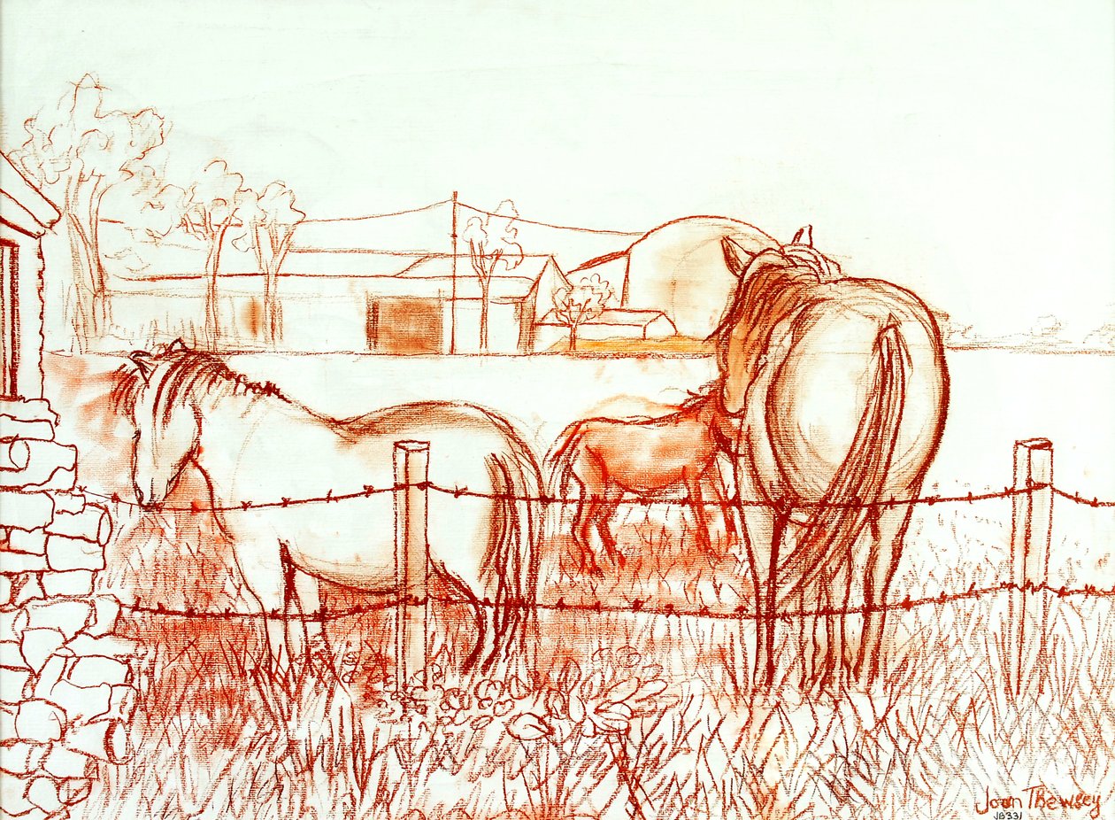 Serenade, Janie and a Donkey in the Meadow by Joan Thewsey