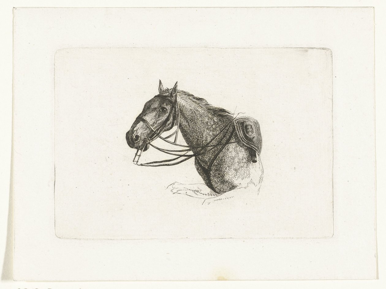 Horse Head to the Left by Joannes Bemme