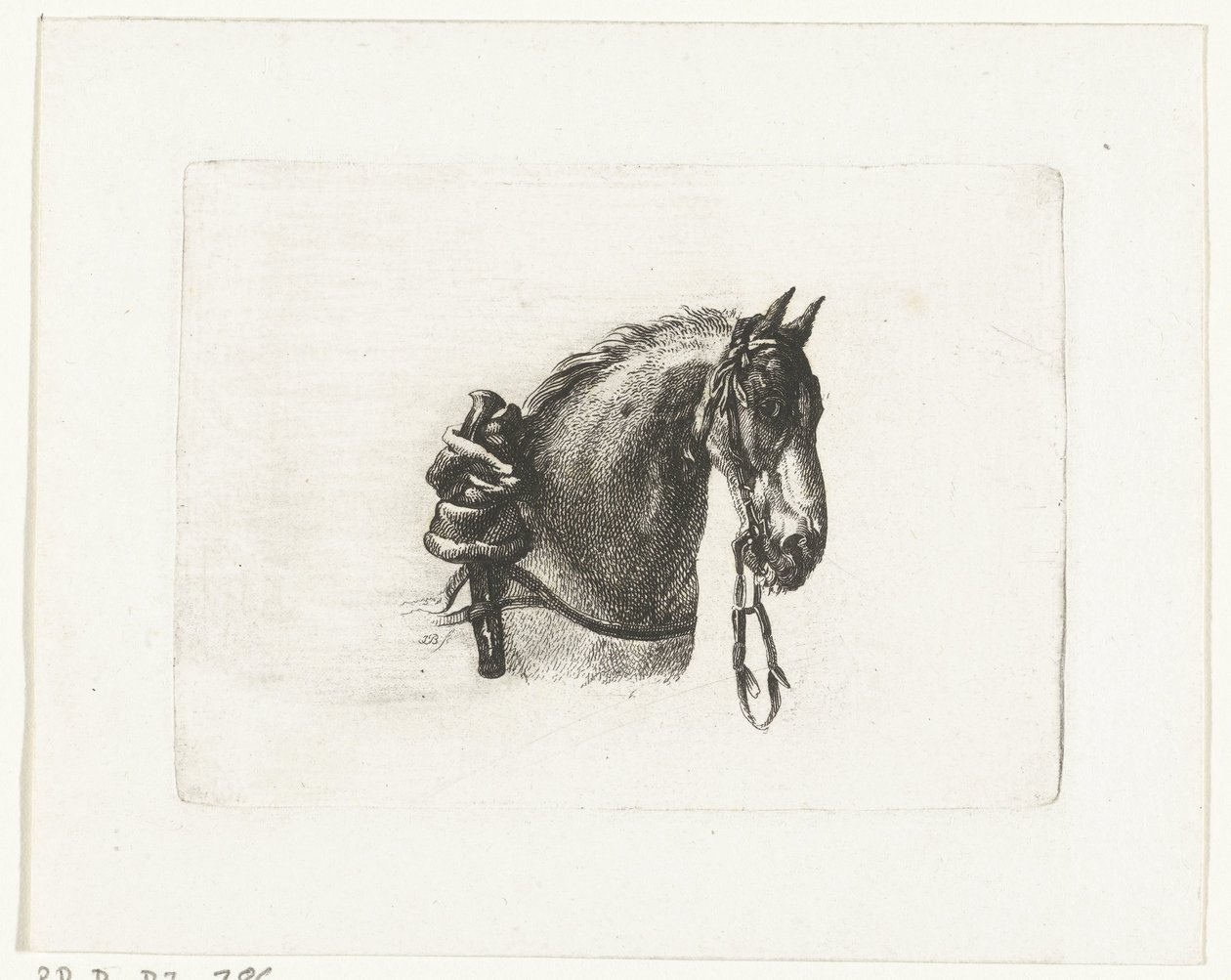 Horse Head to the Right by Joannes Bemme