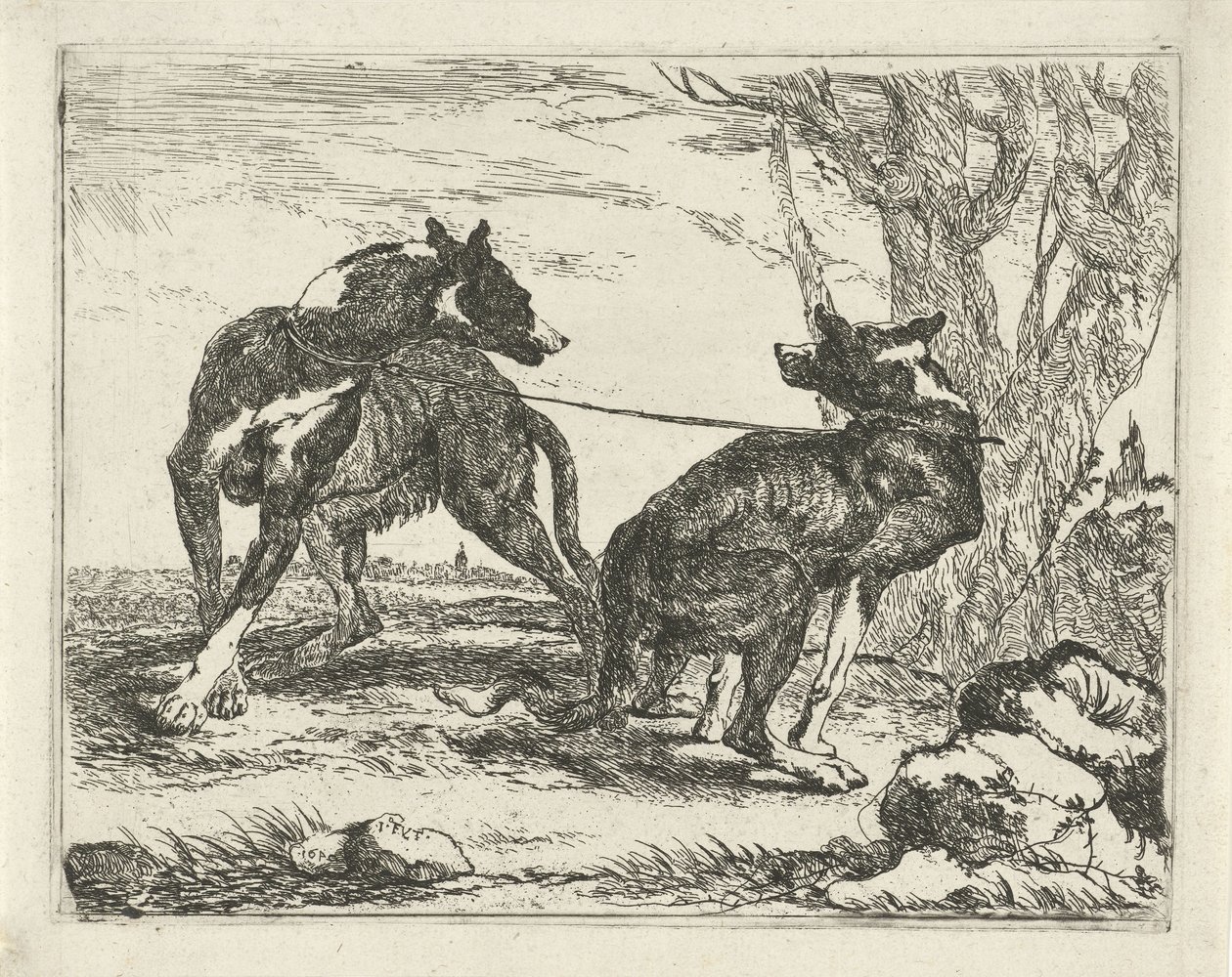 Two Dogs (Dogs) by Joannes Fijt