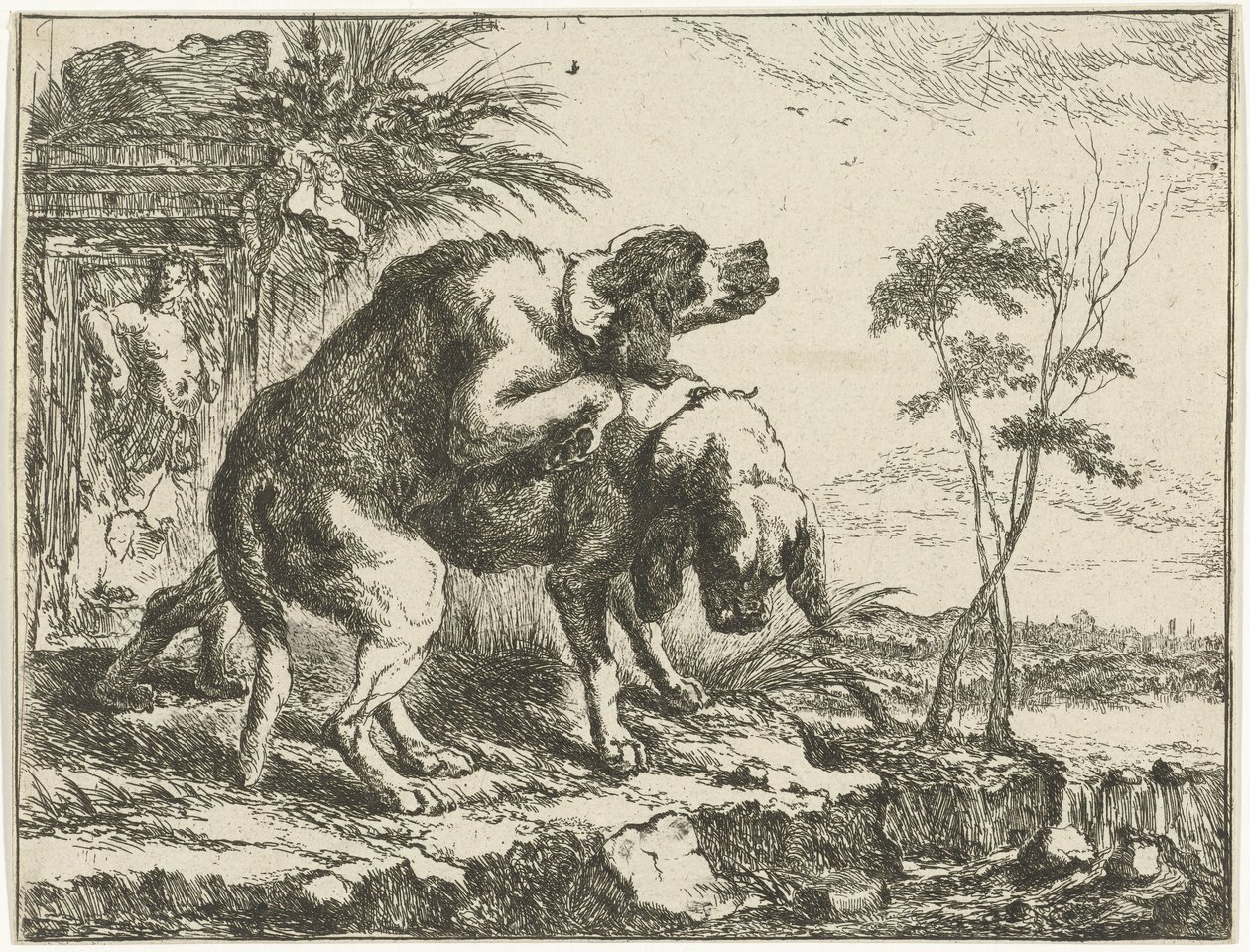 Two Mating Dogs by Joannes Fijt