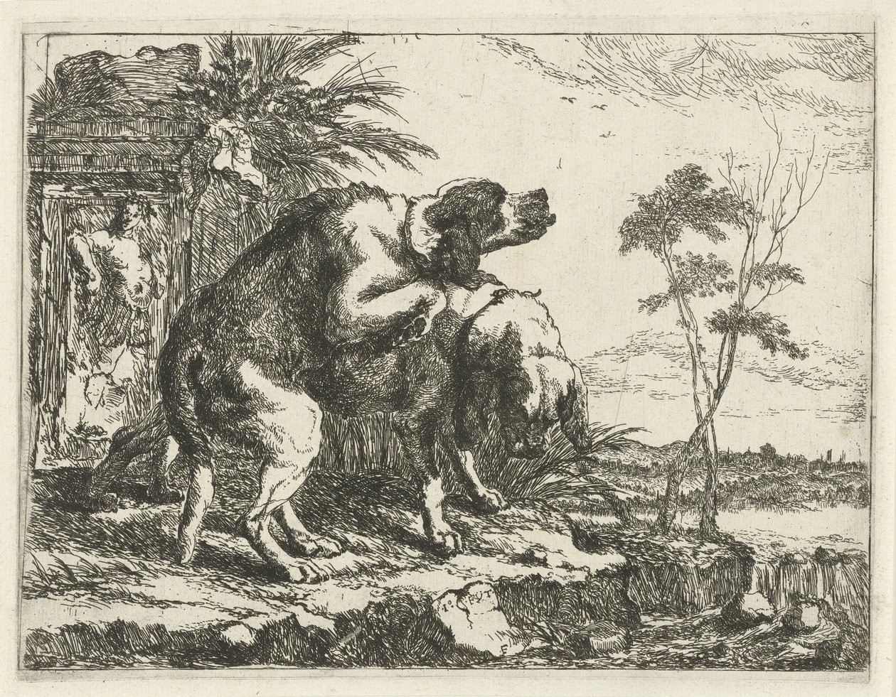 Two Mating Dogs by Joannes Fijt